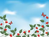 Floral background with a raspberry. Vector illustration.