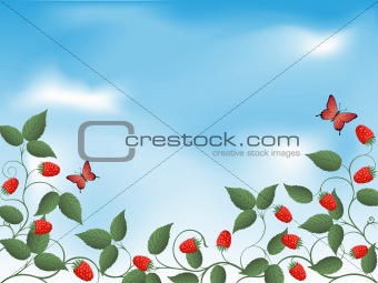 Floral background with a raspberry. Vector illustration.