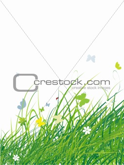 Green field with butterflies, summer background