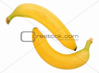 Two yellow banana