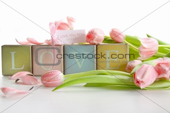 Colored blocks with tulips and gift card