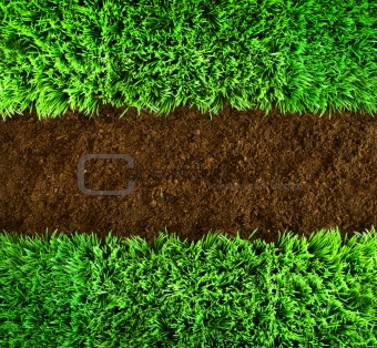 Green grass and earth Background
