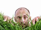 Man peering through tall grass