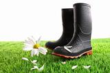 Rubber boots with daisy in grass