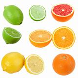 Set of citrus fruits