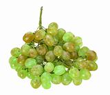 Single bunch of green grape