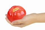 Tomato in a hand