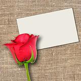 One red rose and message-card