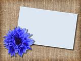 One blue flower with message-card