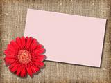 One red flower with message-card
