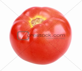 Single red tomato