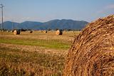 hay bale on a clear summer day