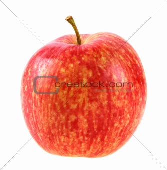 Single a red-yellow apple