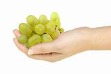 Green grape in a hand of woman
