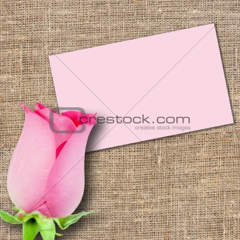 One pink rose and message-card
