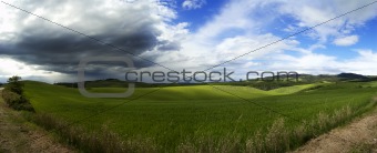 Panoramic fields