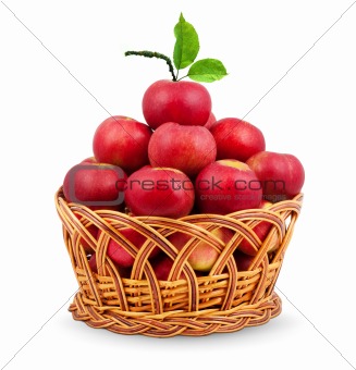 
Basket of apples