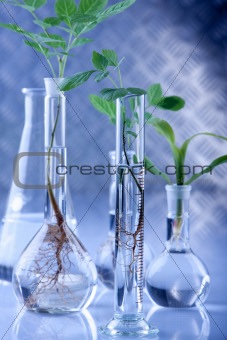 Seedling laboratory
