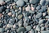 Stones on a beach in Newfoundland, canada
