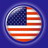 USA, shiny button flag
