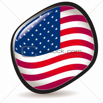 USA, shiny button flag