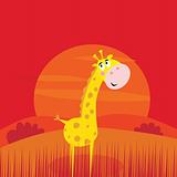 Safari animals - cute giraffe and red sunset scene behind
