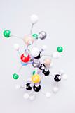 Molecular Chain model with flasks