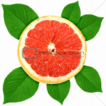 Single cross section of grape-fruit with green leaf