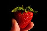 Single strawberry held between two fingers