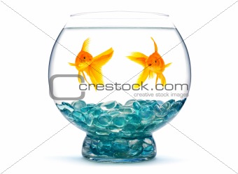 Goldfishes