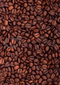 Background of coffee bean
