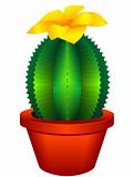 Indoor plant a cactus