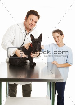 Vet and Child with Dog