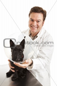 Vet with Dog in Protective Collar