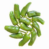 Green Peppers isolated