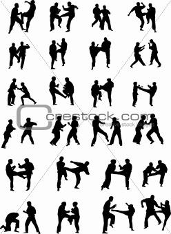 Martial Art Fighters