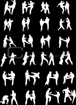 Martial Art Fighters