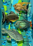 Aquarian fishes