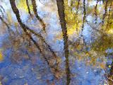 Autumn reflections in the water