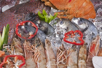 Fresh seafood display on ice