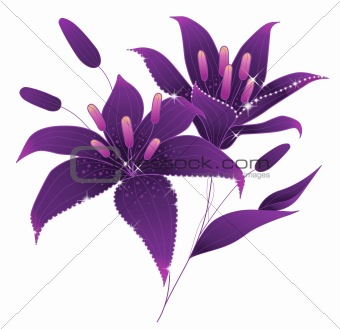 Image 2796617: purple flower from Crestock Stock Photos