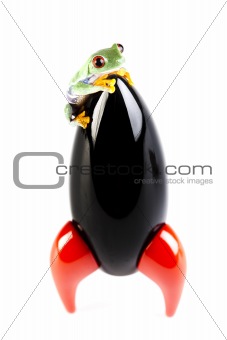 Black Rocket and green frog