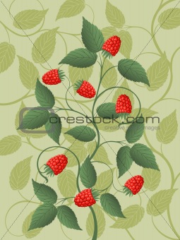 Floral background with a raspberry