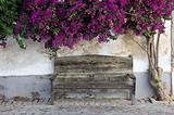 Wooden bench in the old town of Faro, Algarve Portugal