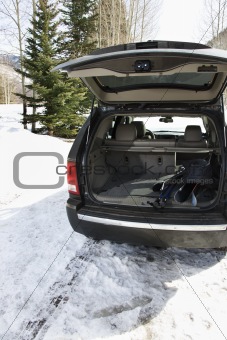 SUV with ski equipment.