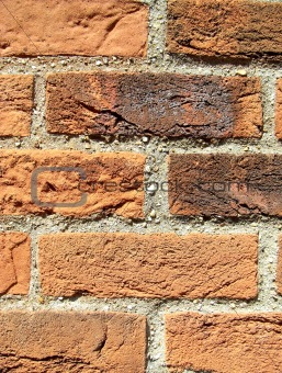 Brick Wall 59