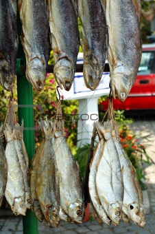 The dried fishes