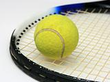 Tennis ball on the racket