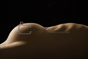 Nude female torso.
