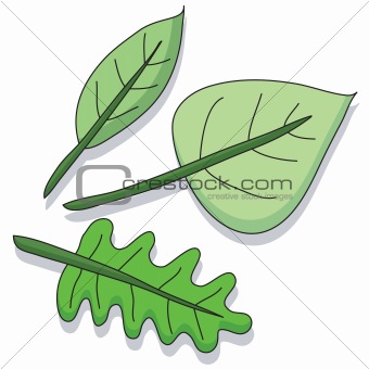 Cartoon leaf